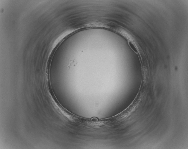 X0000067341141200604131719