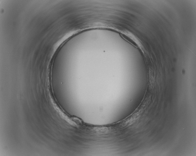 X0000067341142200604131719