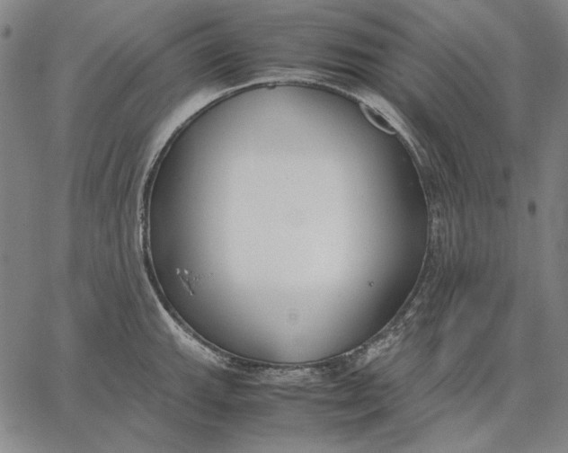 X0000067341143200604131719