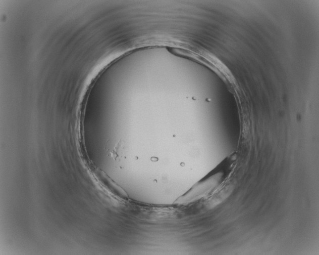 X0000067341144200604131719