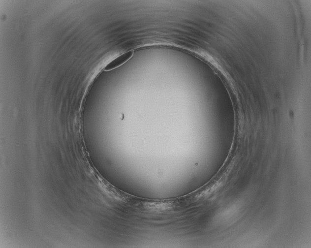 X0000067341145200604131719