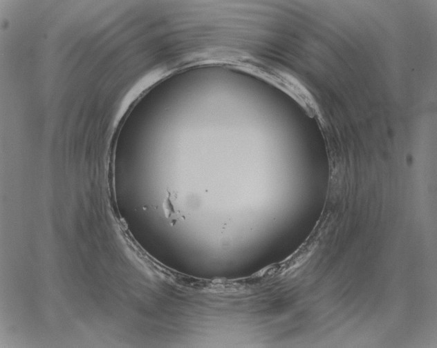 X0000067341146200604131719