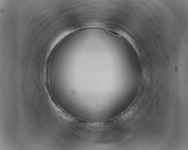 X0000067341147200604131719