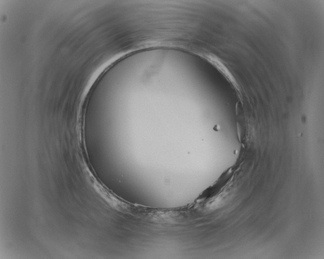 X0000067341148200604131719