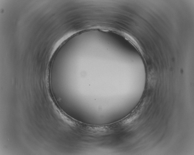 X0000067341149200604131719