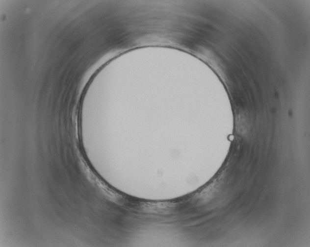 X0000067341150200604131719