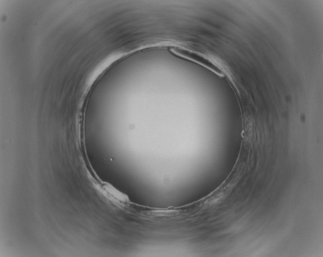 X0000067341151200604131719