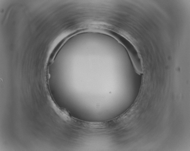 X0000067341152200604131719