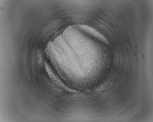 X0000067341154200604131718