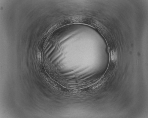 X0000067341155200604131718