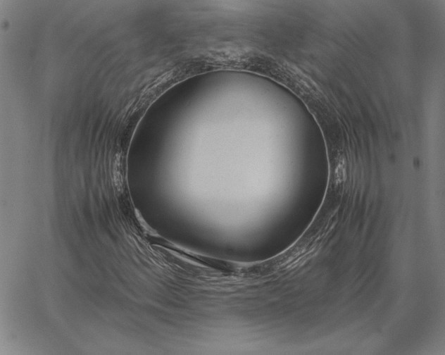 X0000067341156200604131718