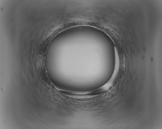 X0000067341157200604131718