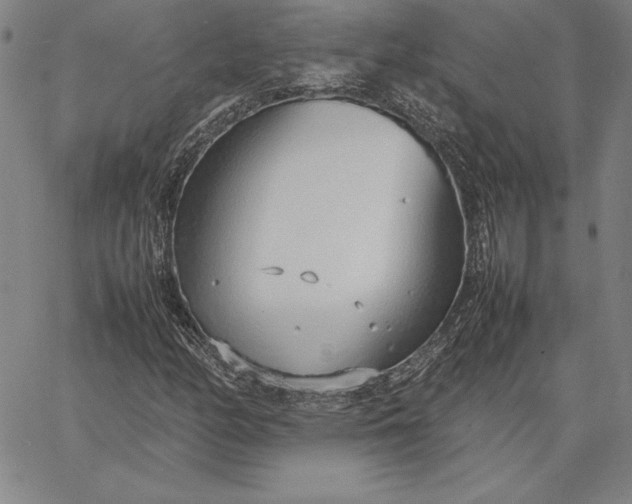 X0000067341158200604131718