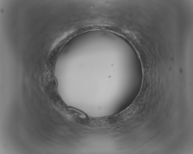 X0000067341159200604131718