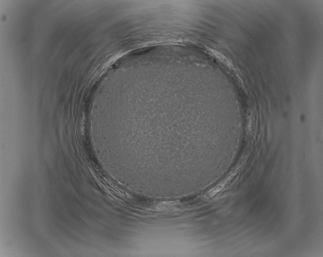 X0000067341161200604131718