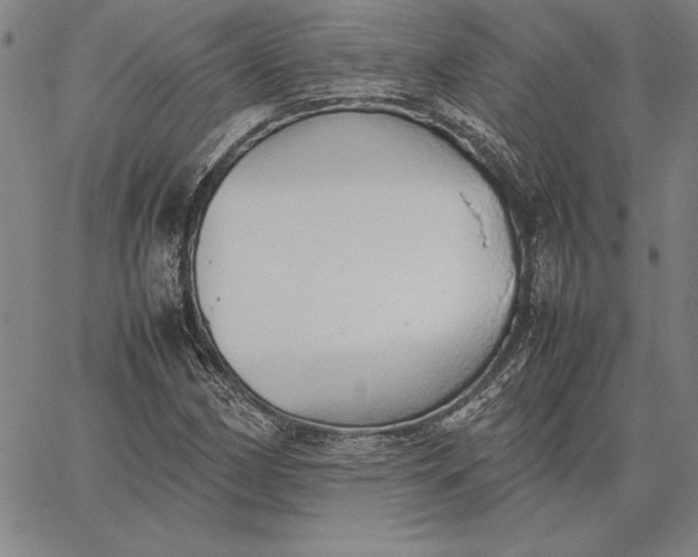 X0000067341162200604131718