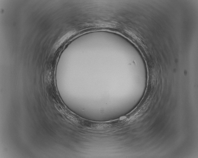 X0000067341163200604131718