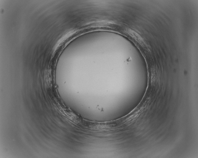 X0000067341164200604131718