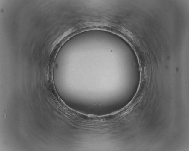 X0000067341165200604131718