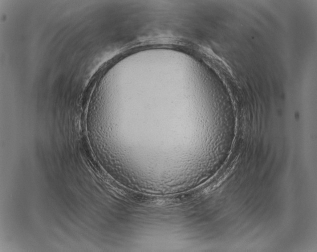 X0000067341166200604131718