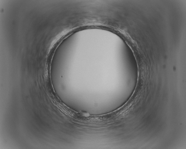 X0000067341167200604131718