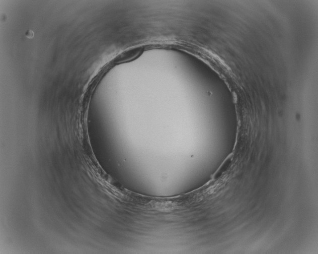 X0000067341168200604131718