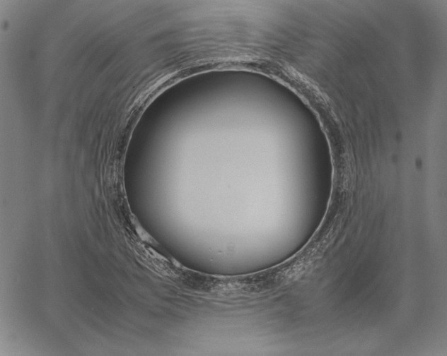 X0000067341169200604131718