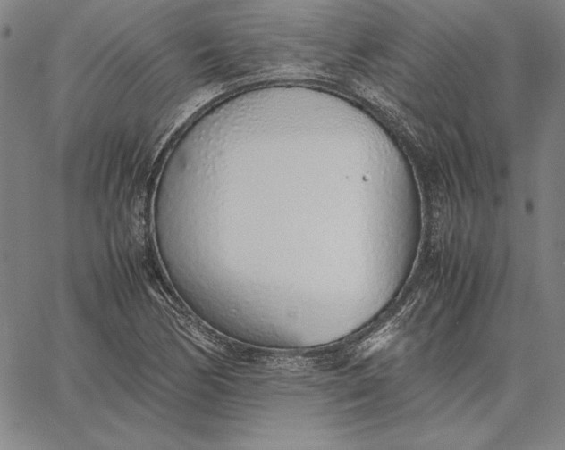 X0000067341170200604131718