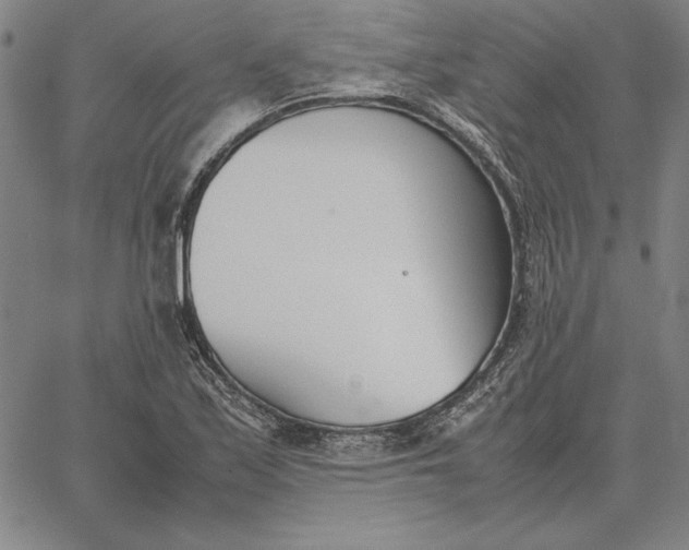 X0000067341171200604131718