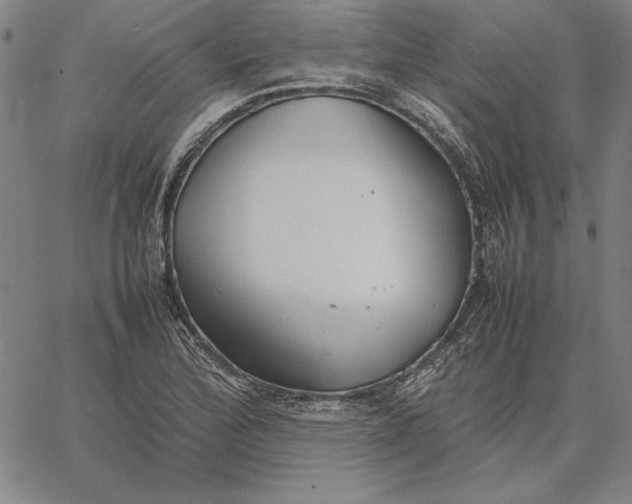 X0000067341172200604131718