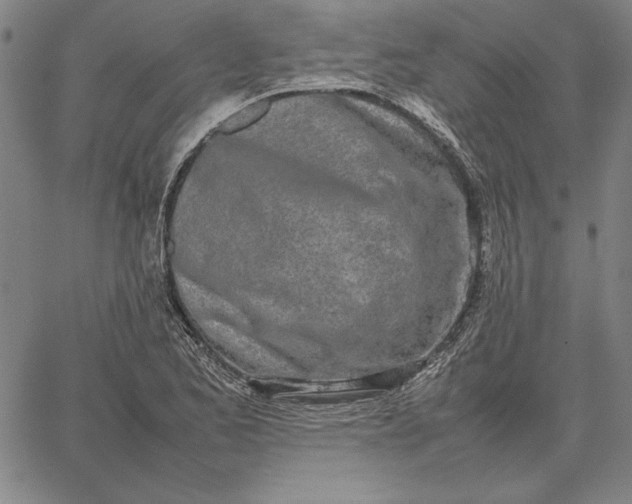 X0000067341173200604131718