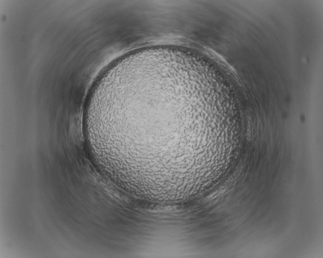 X0000067341174200604131718