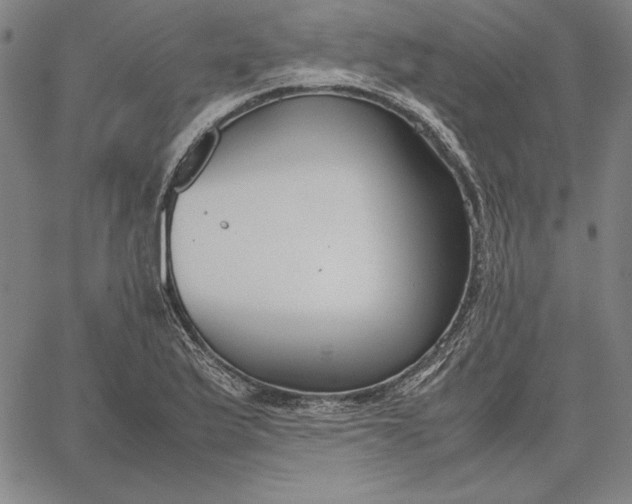 X0000067341175200604131718