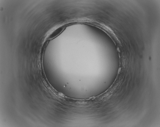 X0000067341176200604131718