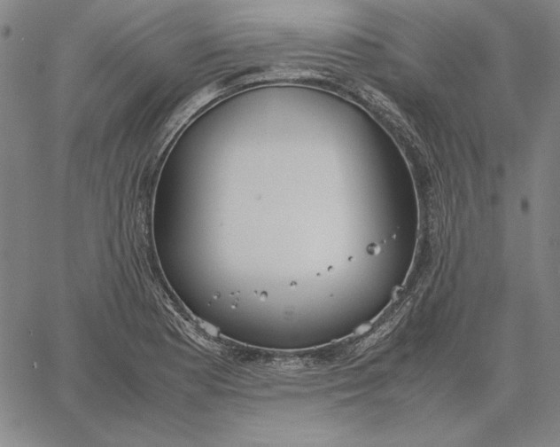 X0000067341177200604131718