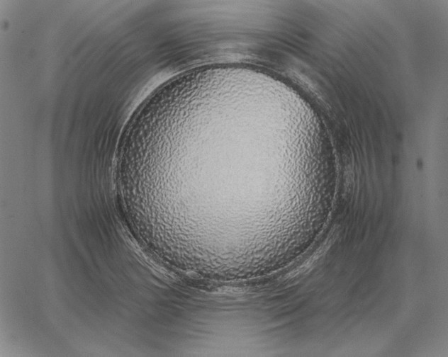 X0000067341178200604131718