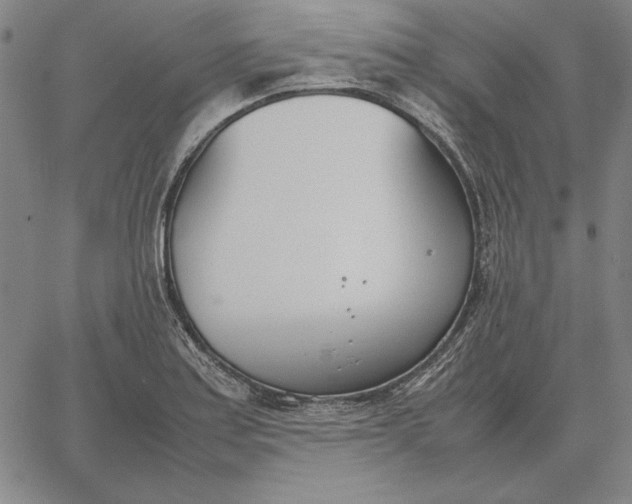 X0000067341179200604131718