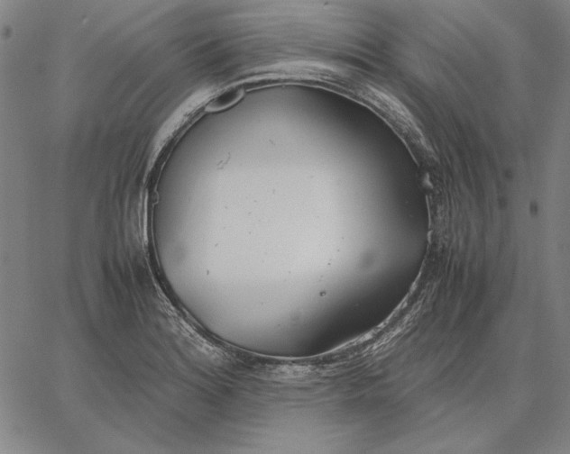 X0000067341180200604131718