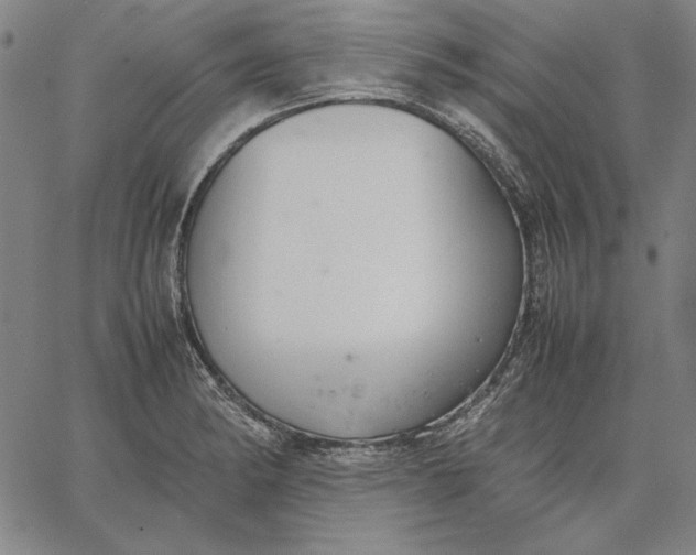 X0000067341182200604131718