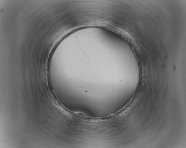 X0000067341184200604131718