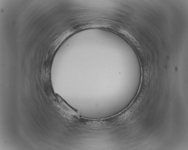 X0000067341185200604131718