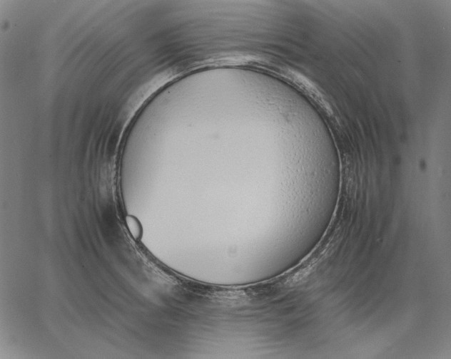 X0000067341186200604131718