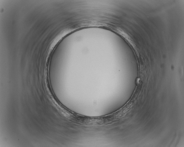 X0000067341187200604131718