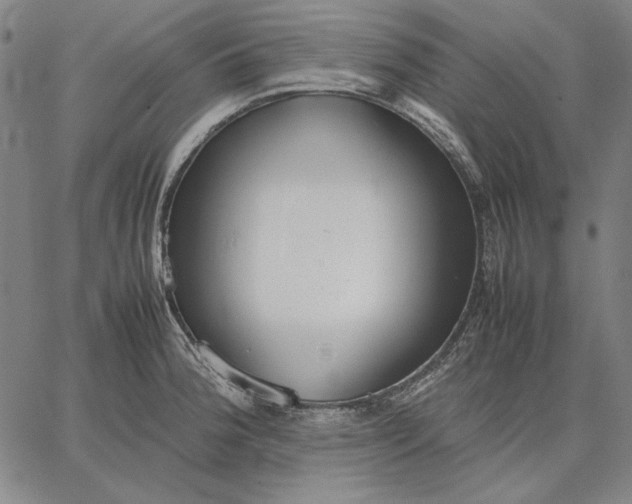 X0000067341188200604131718