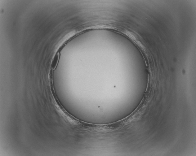 X0000067341189200604131718