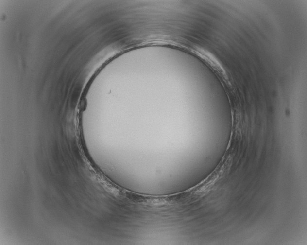 X0000067341190200604131718