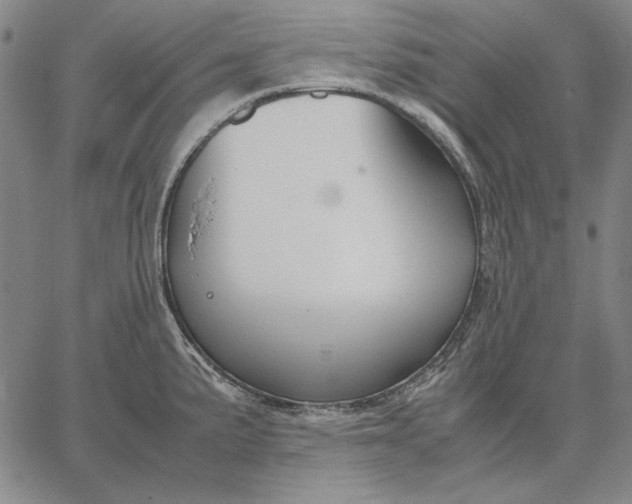 X0000067341191200604131718