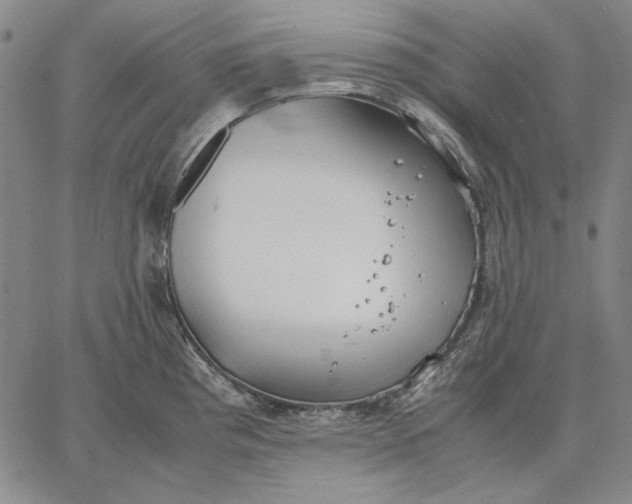 X0000067341193200604131718