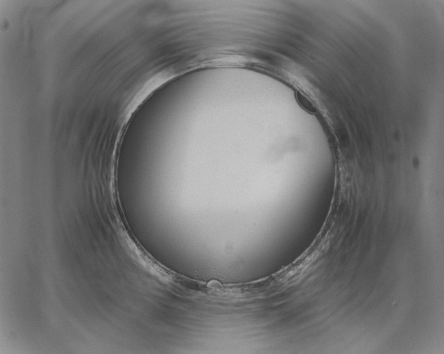 X0000067341194200604131718