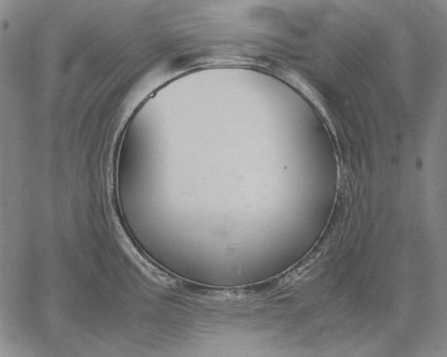 X0000067341195200604131718